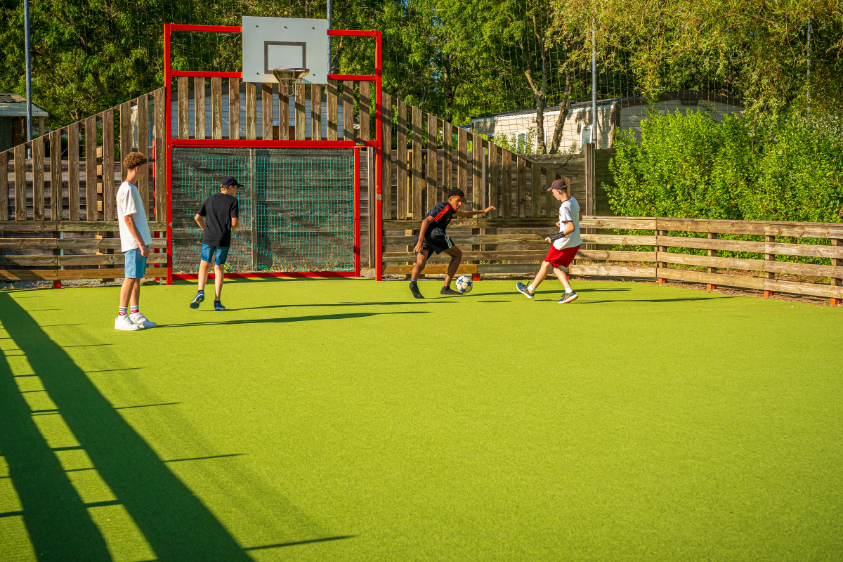 Oléron Loisirs Poitou-Charentes - Saint-Georges-d'Oléron visuel 19/46