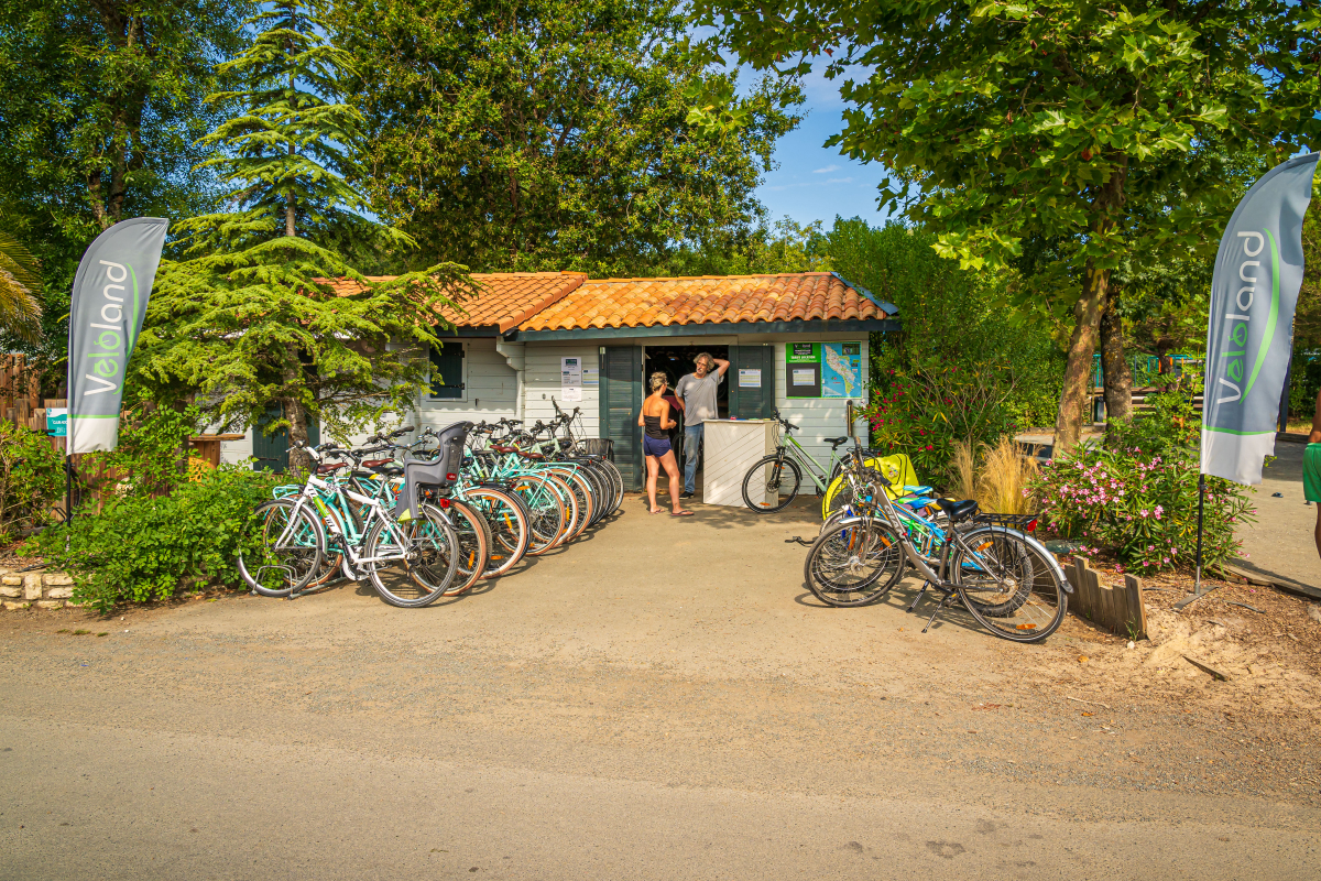 Oléron Loisirs Poitou-Charentes - Saint-Georges-d'Oléron visuel 26/46