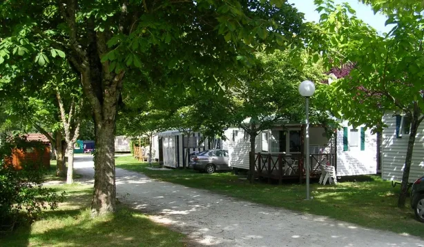 Camping - Médis - Poitou-Charentes - Aloé