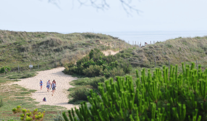 Camping - Le Bois-Plage-en-Ré - Poitou-Charentes - Antioche - Image #16