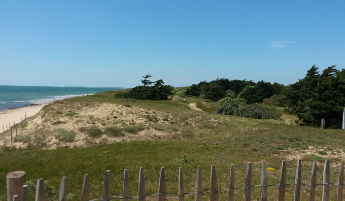 Camping - Le Bois-Plage-en-Ré - Poitou-Charentes - Antioche - Image #23