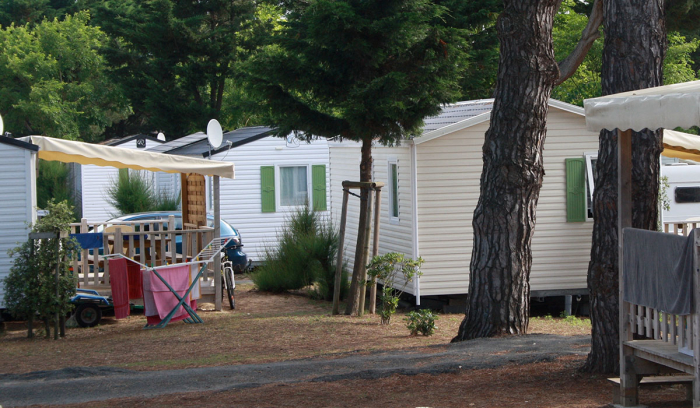Camping - Le Bois-Plage-en-Ré - Poitou-Charentes - Antioche - Image #21