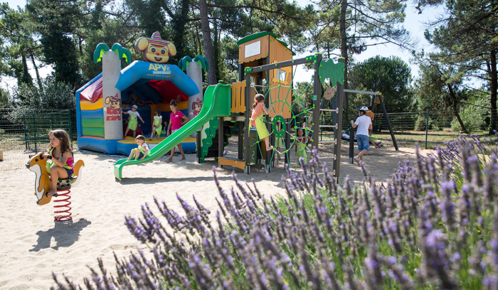 Camping - Le Bois-Plage-en-Ré - Poitou-Charentes - Antioche - Image #11