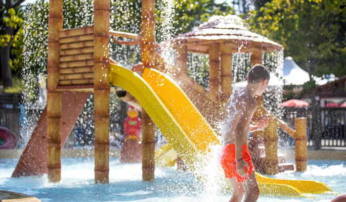 Camping - Le Bois-Plage-en-Ré - Poitou-Charentes - Antioche - Image #18