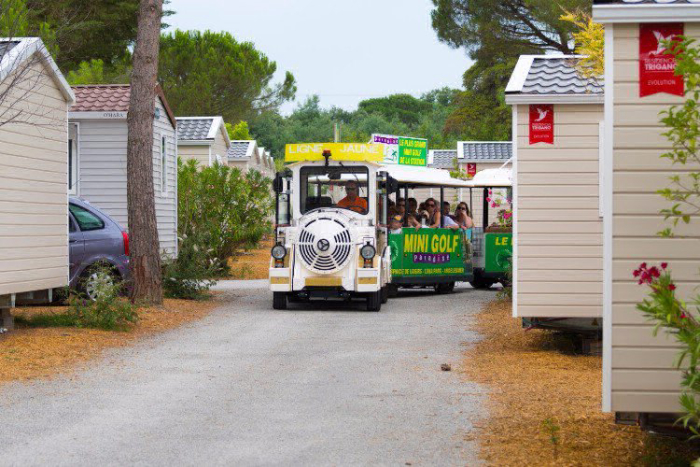 Camping - Argelès-sur-Mer - Languedoc-Roussillon - Argelès Vacances - Image #11