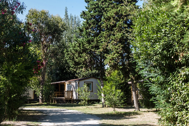 Camping - Ghisonaccia - Corse - Arinella Bianca - Image #13