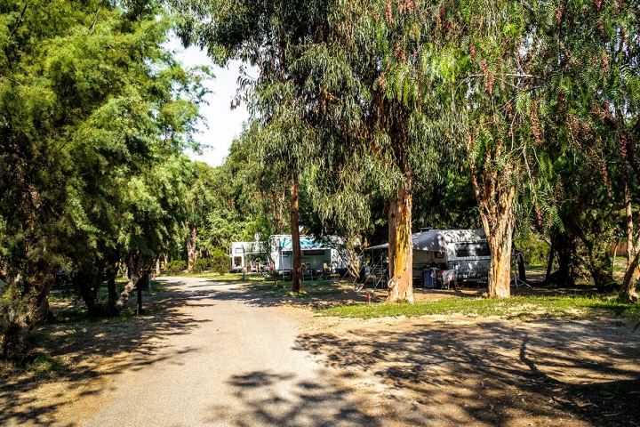Camping - Ghisonaccia - Corse - Arinella Bianca - Image #10