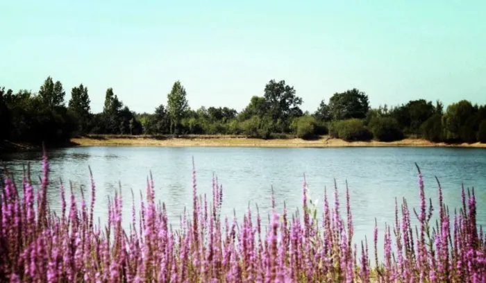 Camping - Sainte-Foy - Pays de Loire - Au Pré de l'Etang