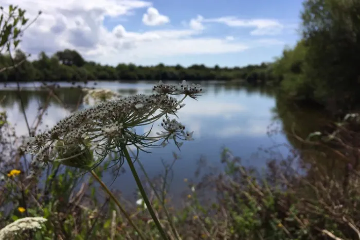 Camping - Sainte-Foy - Pays de Loire - Au Pré de l'Etang