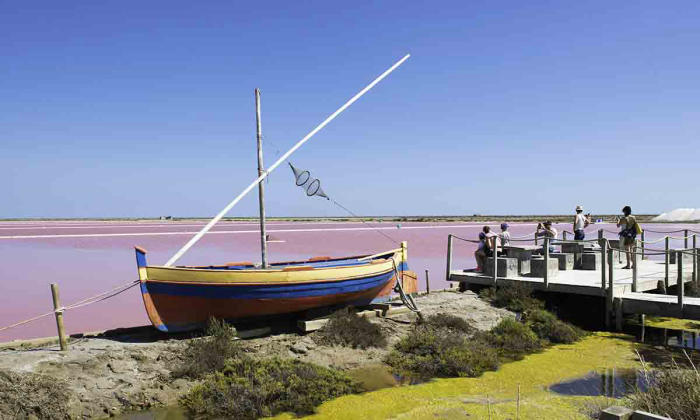 Camping Barberousse