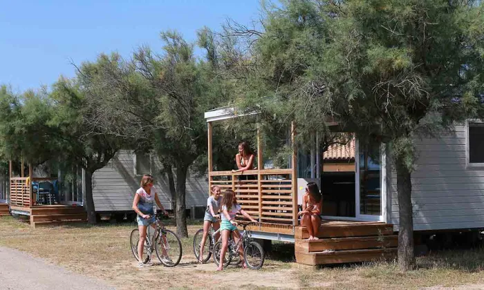 Camping - Gruissan - Languedoc-Roussillon - Barberousse