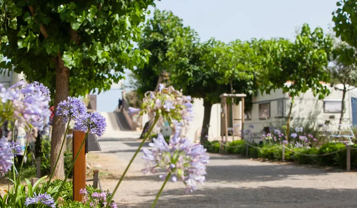 Camping - Marseillan - Languedoc-Roussillon - Beauregard Plage