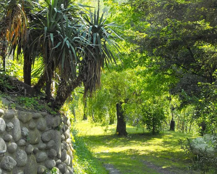 Camping - Ria-Sirach - Languedoc-Roussillon - Bellevue