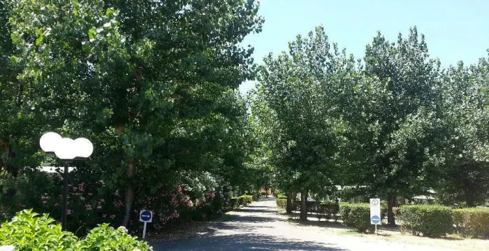 Camping - Porticcio - Corse - Benista