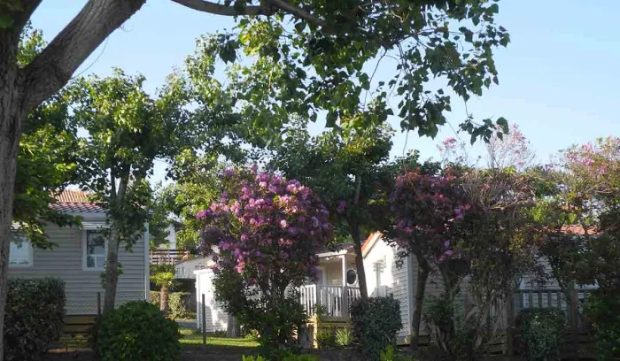 Camping - Biarritz - Aquitaine - Biarritz Camping