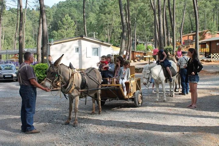 Camping - Joyeuse - Rhône-Alpes - Bois Simonet