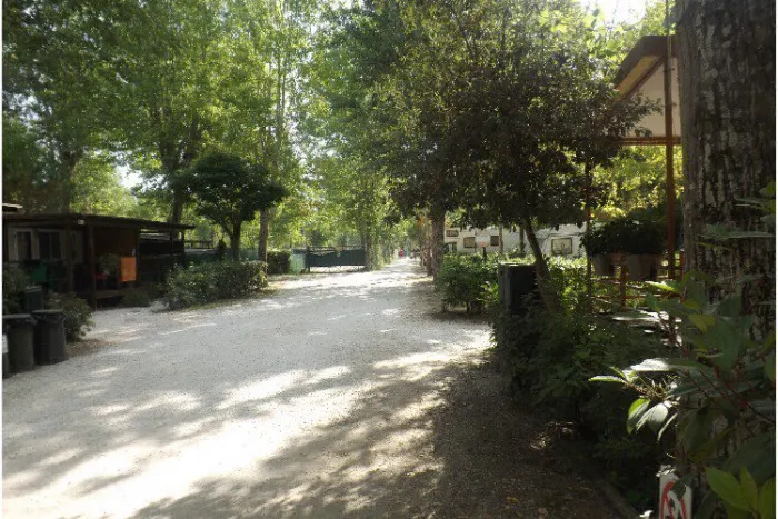 Camping - Torre del Lago Puccini - Toscane - Bosco Verde