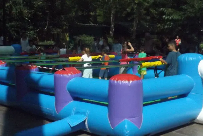 Camping - Torre del Lago Puccini - Toscane - Bosco Verde