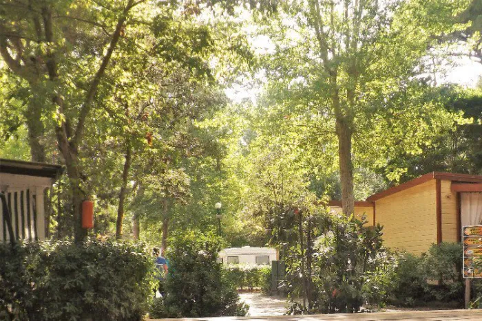 Camping - Torre del Lago Puccini - Toscane - Bosco Verde