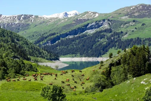 Camping - Bourg-Saint-Maurice - Rhône-Alpes - Bourg Saint Maurice