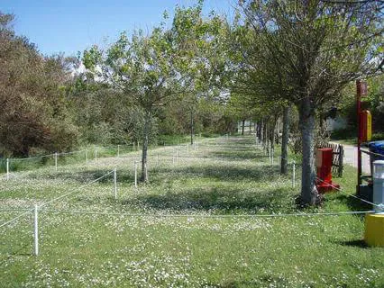 Camping - Ílhavo - Centro - Costa Nova do Prado