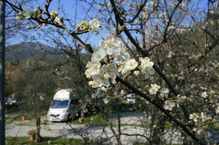 Camping - levanto - Ligurie - Camping Acqua Dolce