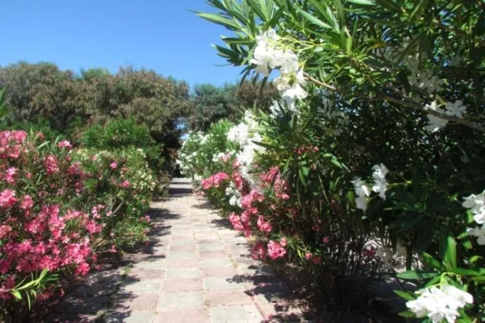 Camping - Badesi - Sardaigne - Camping Baia Paradiso