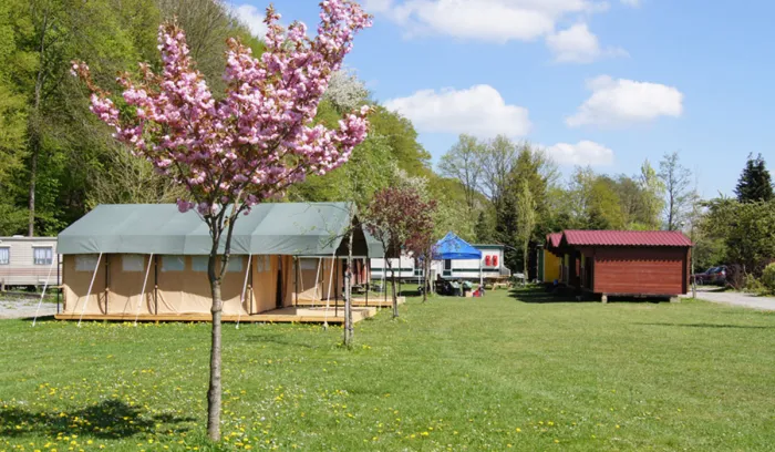 Camping - Barvaux-sur-Ourthe - Luxembourg - Camping Barvaux