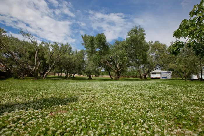 Camping - Krk - Primorje-Gorski Kotar - Camping Bor