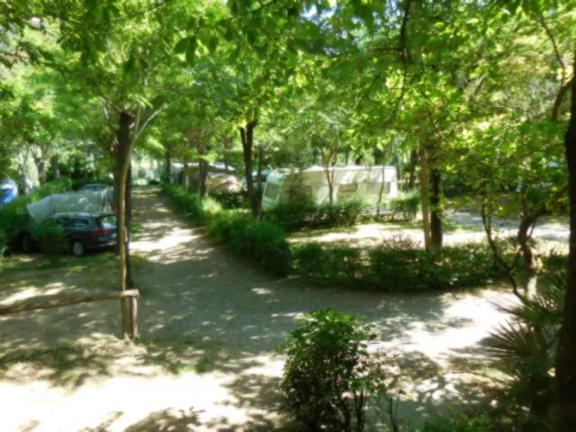 Camping - levanto - Ligurie - Camping Cinque Terre