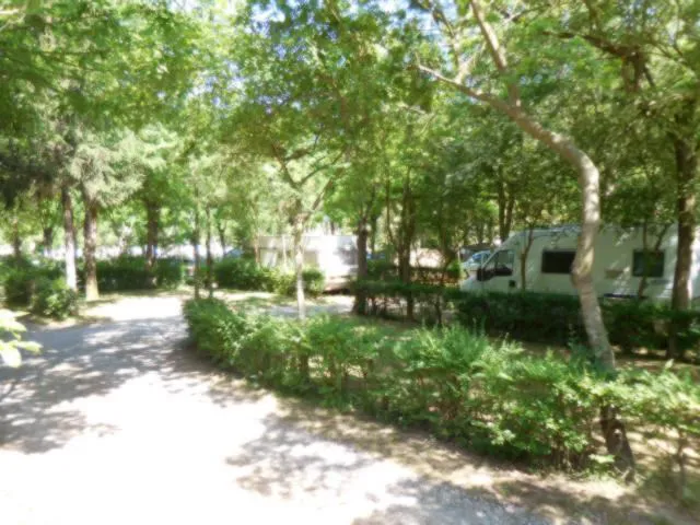 Camping - levanto - Ligurie - Camping Cinque Terre