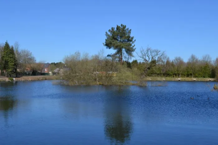 Camping - Werchter - Brabant  - Camping De Klokkeberg