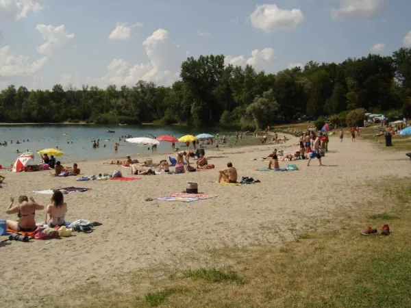 Camping - Roeschwoog - Alsace - Camping du Staedly
