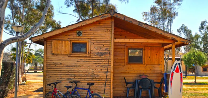 Camping - Amposta - Catalogne - Eucaliptus