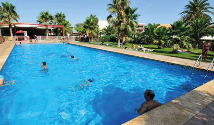 Camping - Amposta - Catalogne - Eucaliptus