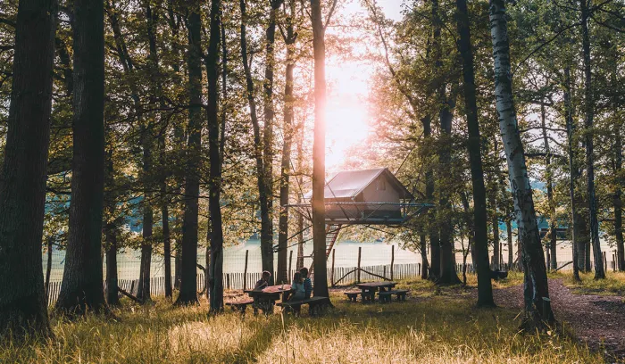 Camping - Han-Sur-Lesse - Namur - Cocoon Village