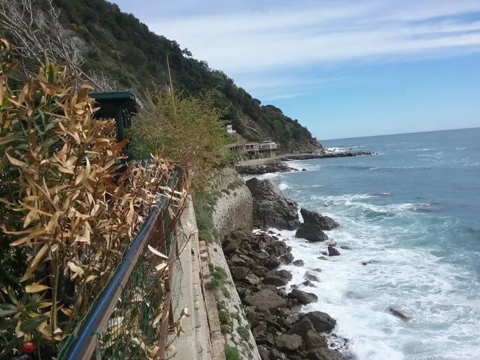 Camping - Moneglia - Ligurie - Camping Il Rospo