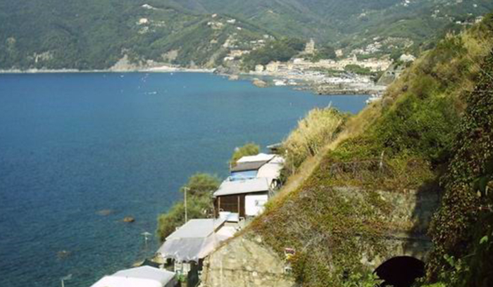 Camping Il Rospo - Moneglia