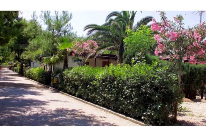 Camping - Pineto - Abruzzes - International Torre Cerrano