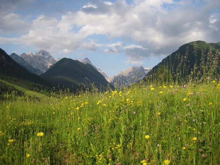 Camping - Mojstrana - Haute-Carniole - Camping Kamne