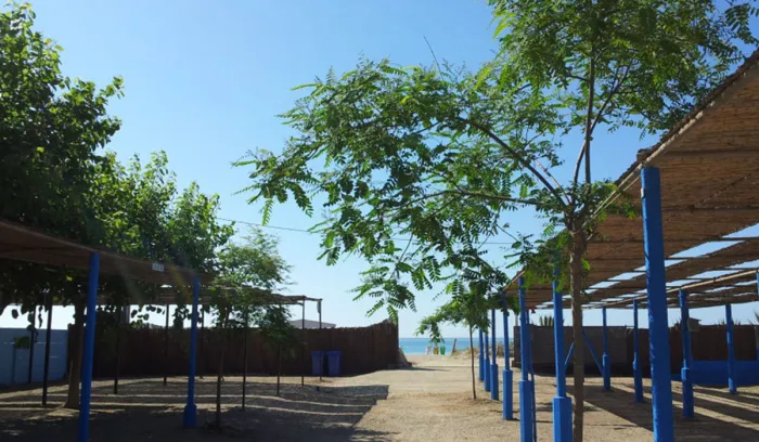 Camping - Creixell - Catalogne - La Plana