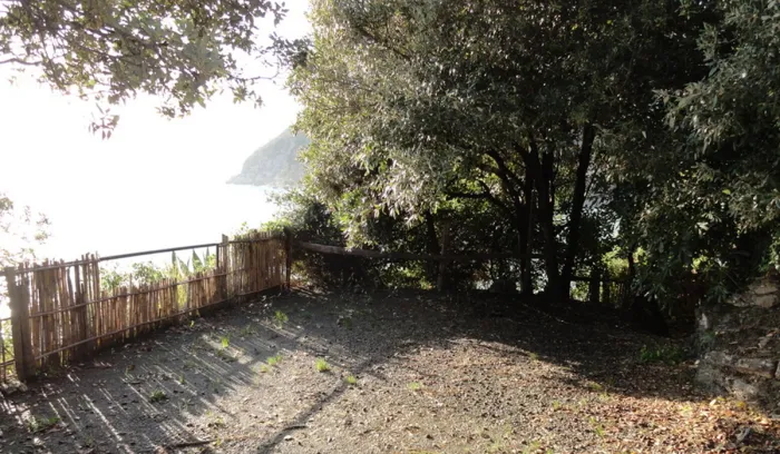Camping Moneglia - 3 - campings