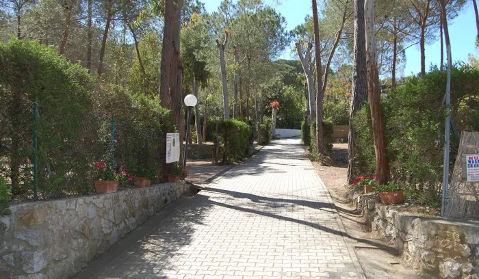 Camping - Lacona - Toscane - Camping Lacona