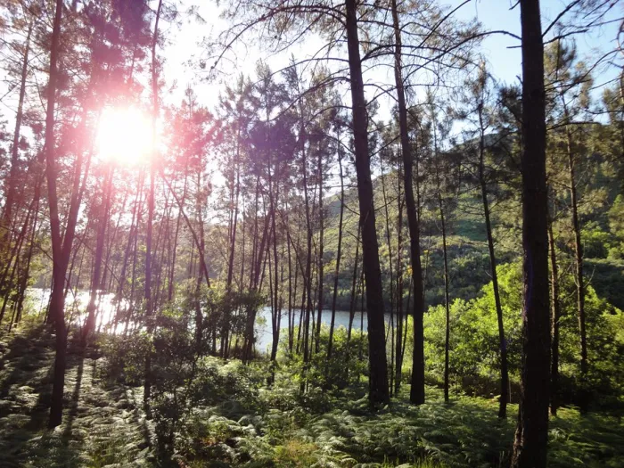 Camping - Ponte da Barca - Norte - Camping Lima Escape