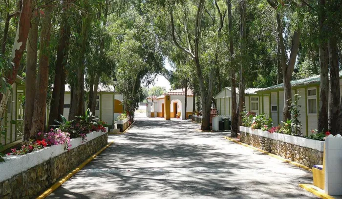 Camping Los Eucaliptos - Conil de la Frontera