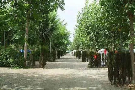 Camping - Torre del Mar - Andalousie - Camping Naturiste Almanat