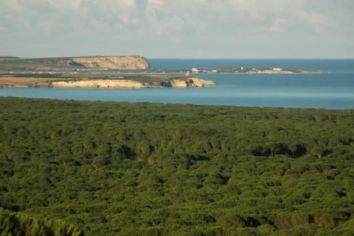Camping - Narbolia - Sardaigne - Camping Nurapolis