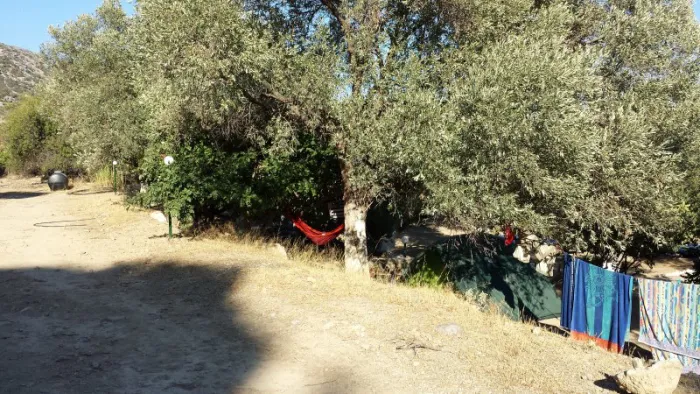 Camping - Paleochora - Crète - Camping Palechora
