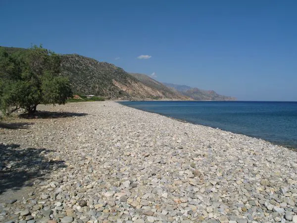 Camping - Paleochora - Crète - Camping Palechora