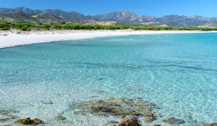 Camping - Budoni - Sardaigne - Camping Pedra - Cupa